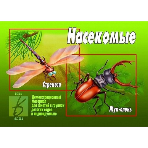 Демонстрационный материал 