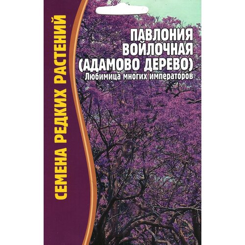 Павлония войлочная адамово дерево ( 1 уп: 10 семян ) павловния войлочная императорское дерево