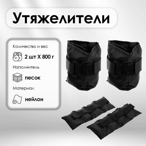 фото Утяжелитель для фитнеса, 2 × 800 г, цвета микс master