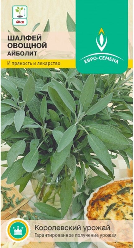 Шалфей овощной Айболит. Семена. Многолетнее лекарственное и пряно-вкусовое растение высотой 60 см. Сорт среднеспелый