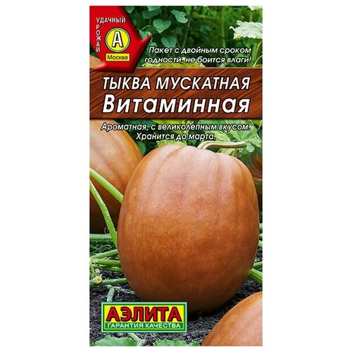 Тыква мускатная Витаминная