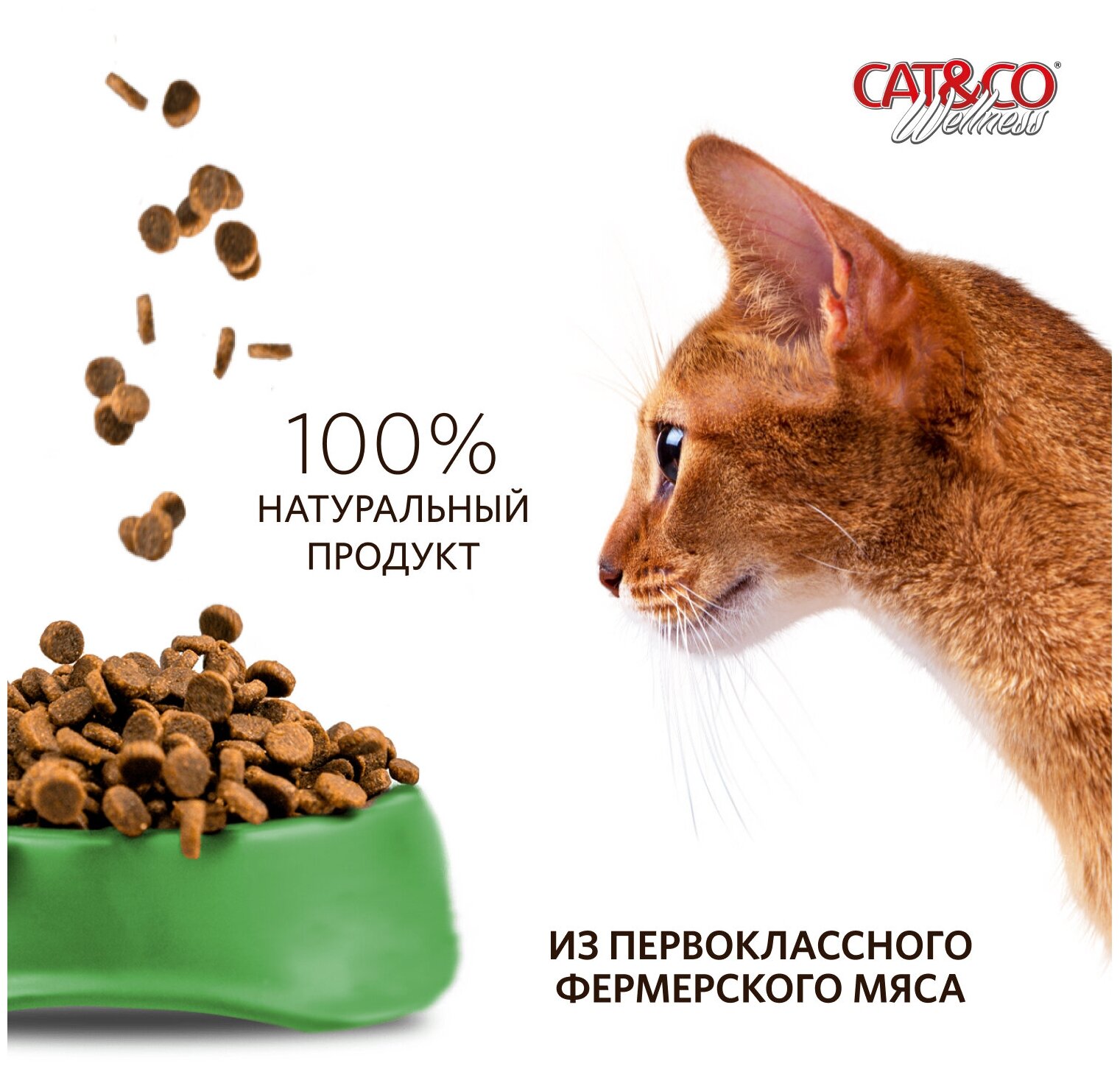 Wellness Cat&Co Adult Indoor корм для взрослых домашних кошек Баранина и картофель, 400 г. - фотография № 5