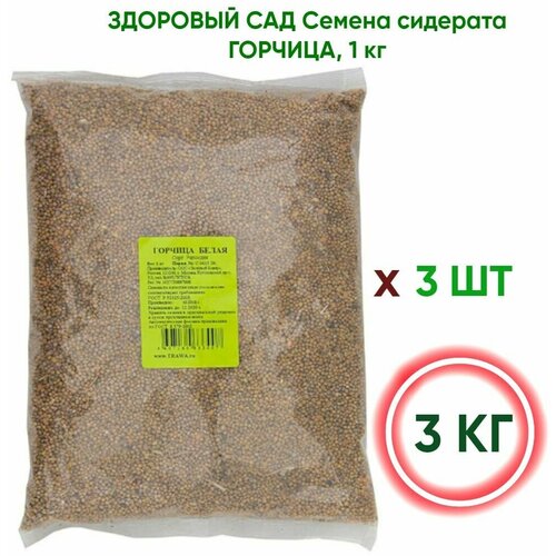 Здоровый САД Семена сидерата горчица, 1 кг x 3 шт (3 кг)