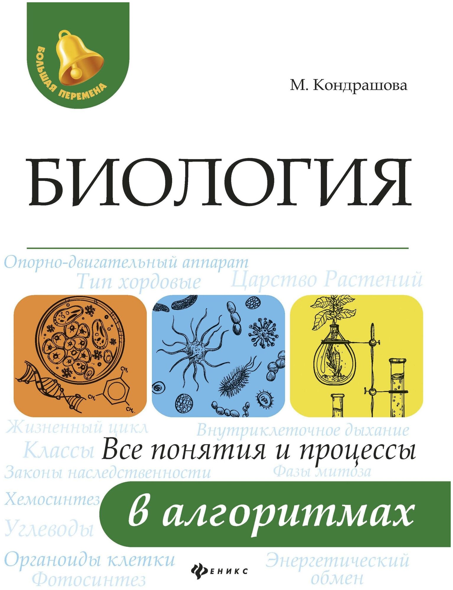 Кондрашова Маргарита. Биология. Все понятия и процессы в алгоритмах. Большая перемена