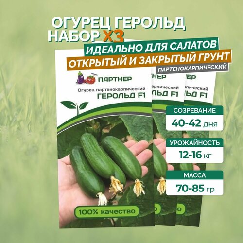 Семена огурцов: Герольд F1 / агрофирма партнер/ 3 упаковки по 5 штук. семена огурца платоша партнер