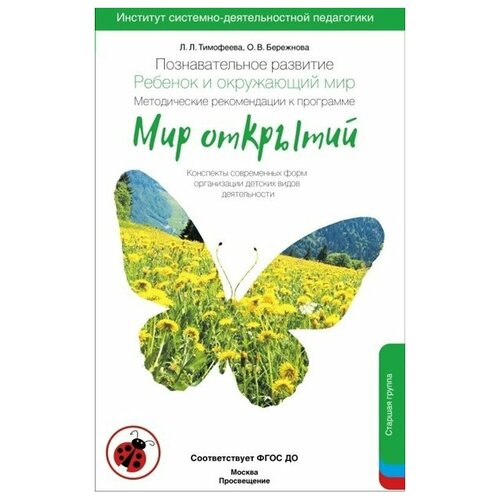 Познавательное развитие. Ребенок и окружающий мир. Методические рекомендации к программе 