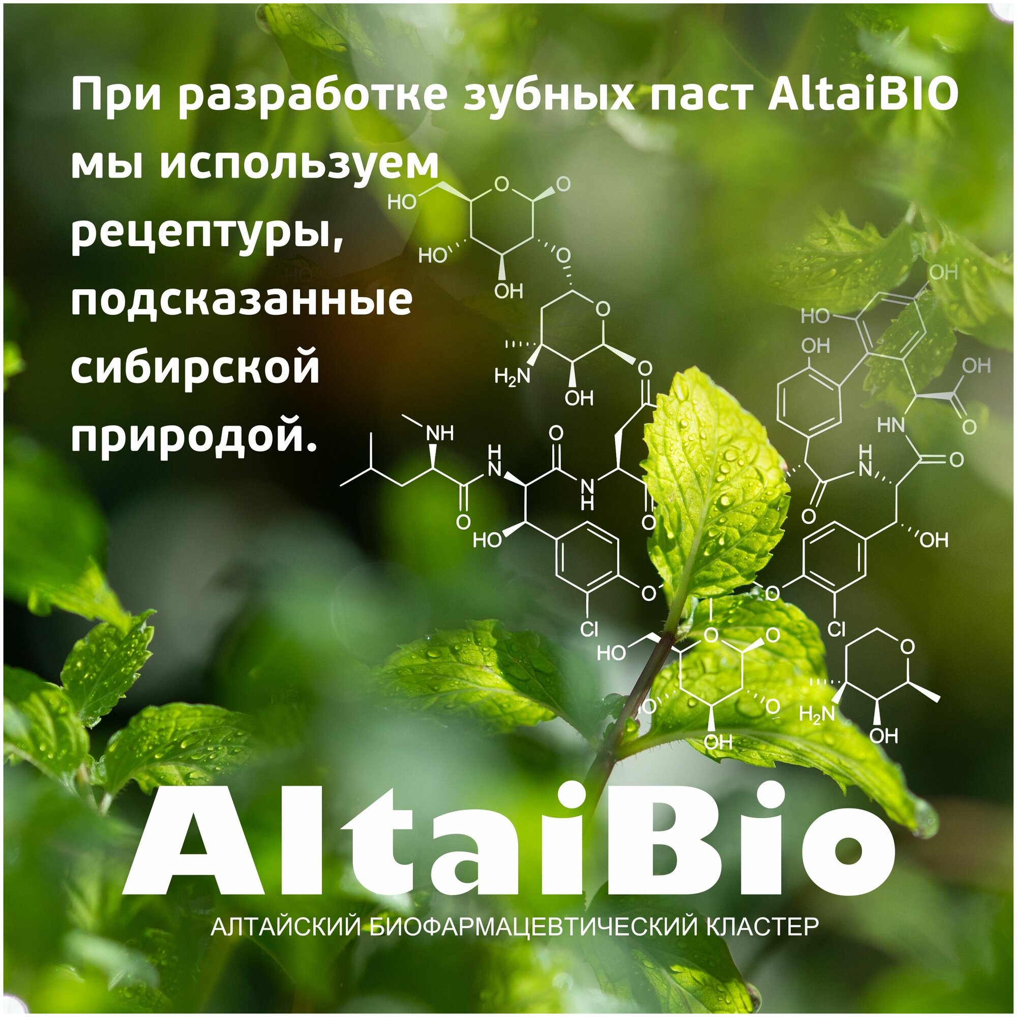 AltaiBio Зубная паста для ежедневного ухода за зубами и деснами "Облепиха-прополис", 75 мл (AltaiBio, ) - фото №13