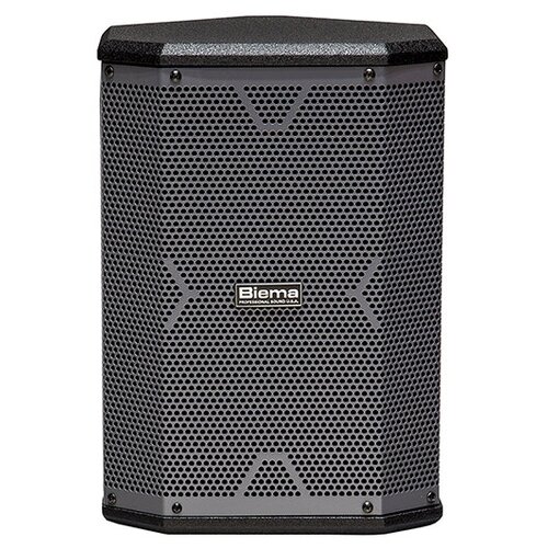 Активная акустическая система с 2 микрофонами Biema X-1BM 3333300₽