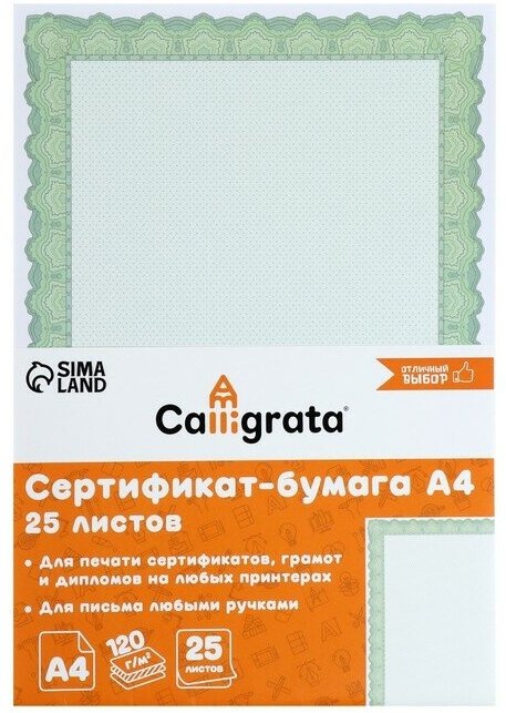 Сертификат-бумага А4, 25 листов Calligrata "Зеленый орнамент", 120 г/м2