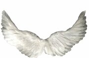 Крылья ангела белые перьевые карнавальные большие 60х35см, на Хэллоуин и Новый год