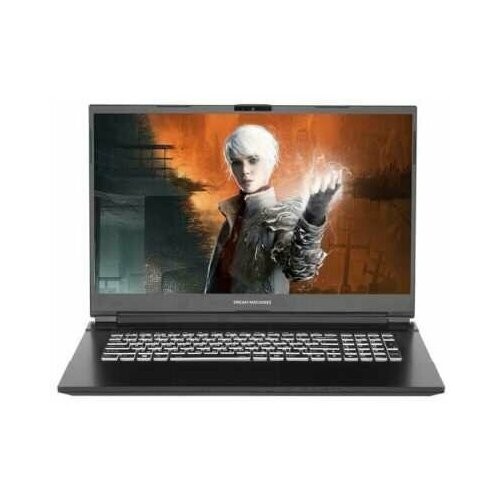 Ноутбук Dream Machines RG3060-17EU38-wpro 15456300₽