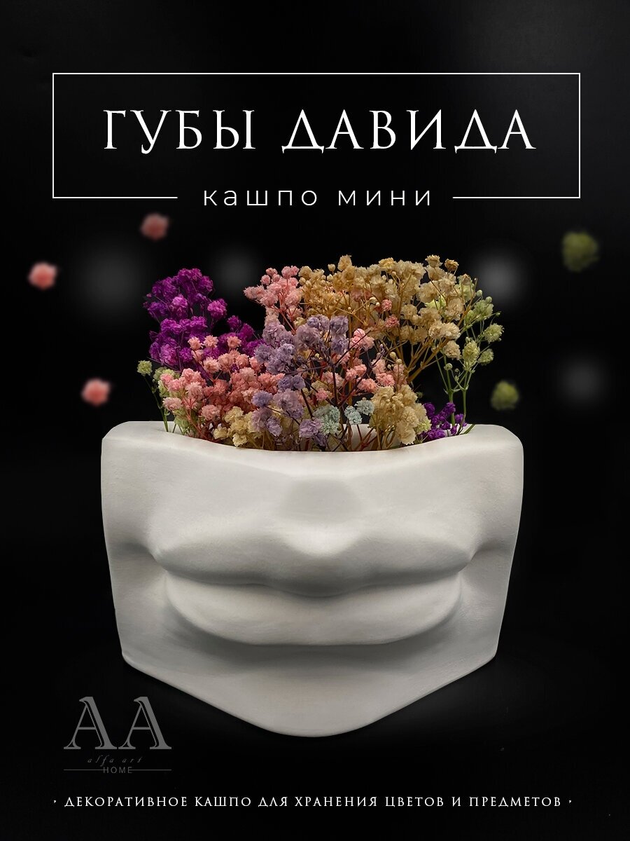 Кашпо из гипса губы Давида / Органайзер для хранения кисточек / Ваза для сухоцветов Губы