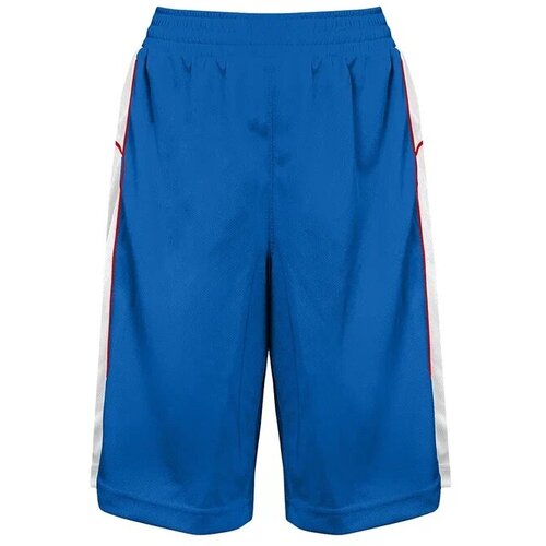Шорты спортивные РО-СПОРТ, размер L, синий, белый брюки ро спорт демисезонные размер l синий