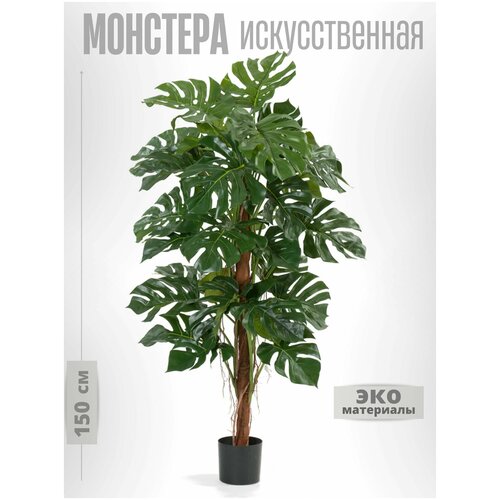 Цветок декоративный Монстера в горшке для интерьера дома и офиса гостиниц отелей
