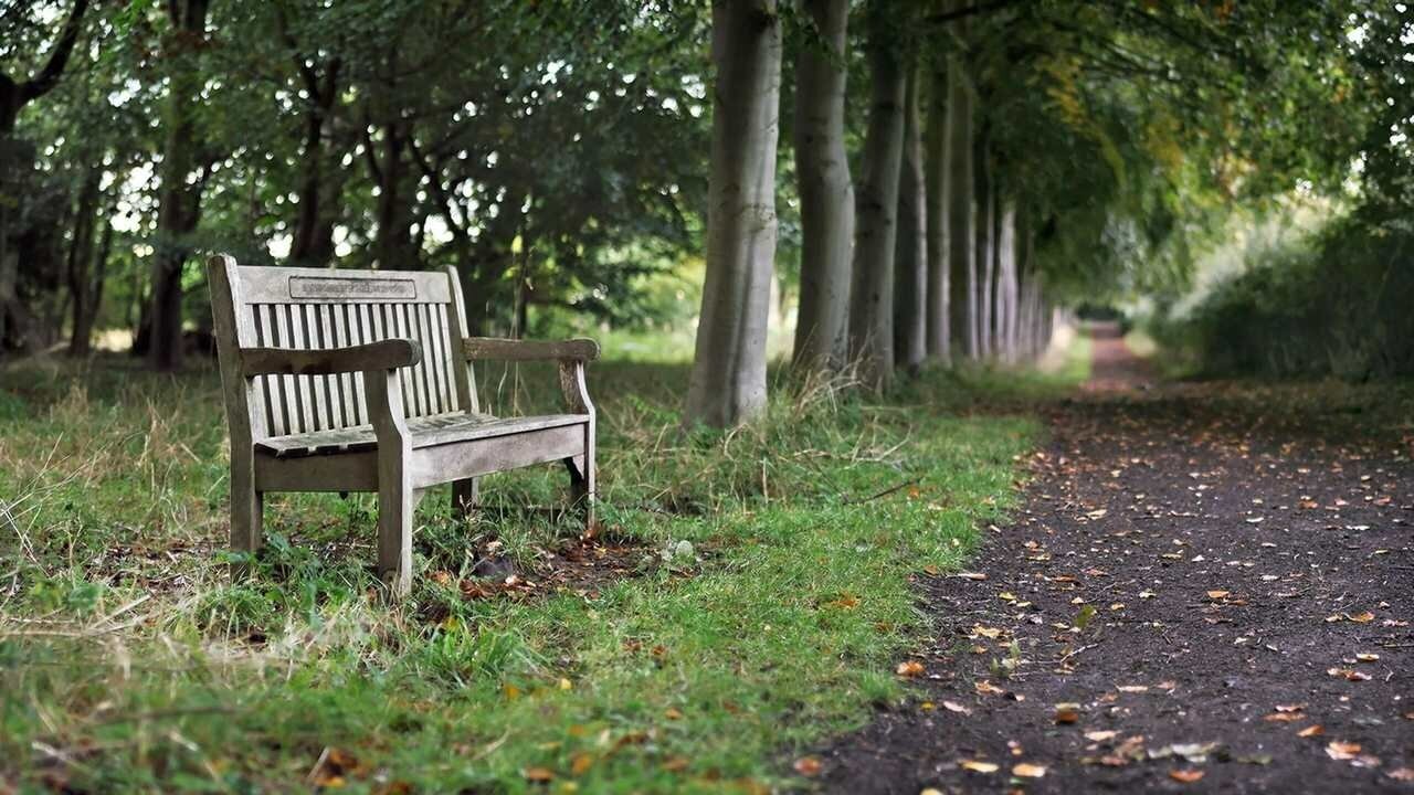 Скамейка в парке согласование