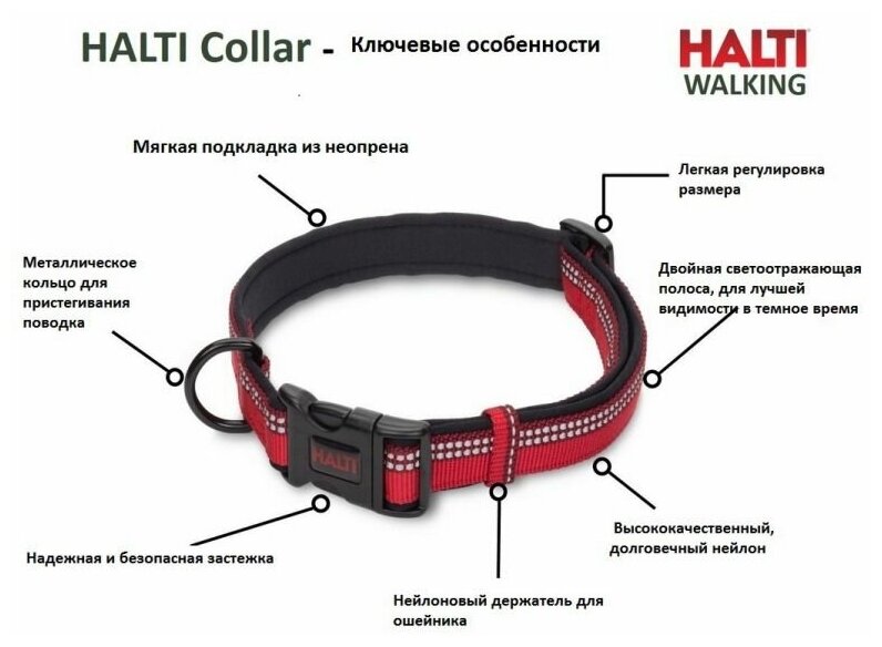 Ошейник для собак Company of Animals "HALTI Collar", красный, S, 25-35см (Великобритания) - фотография № 2