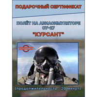 Подарочный сертификат на день рождения для мужчин и женщин, полет на авиатренажере СУ-27 Москве, симулятор полета, подарок впечатление Курсант 20 мин