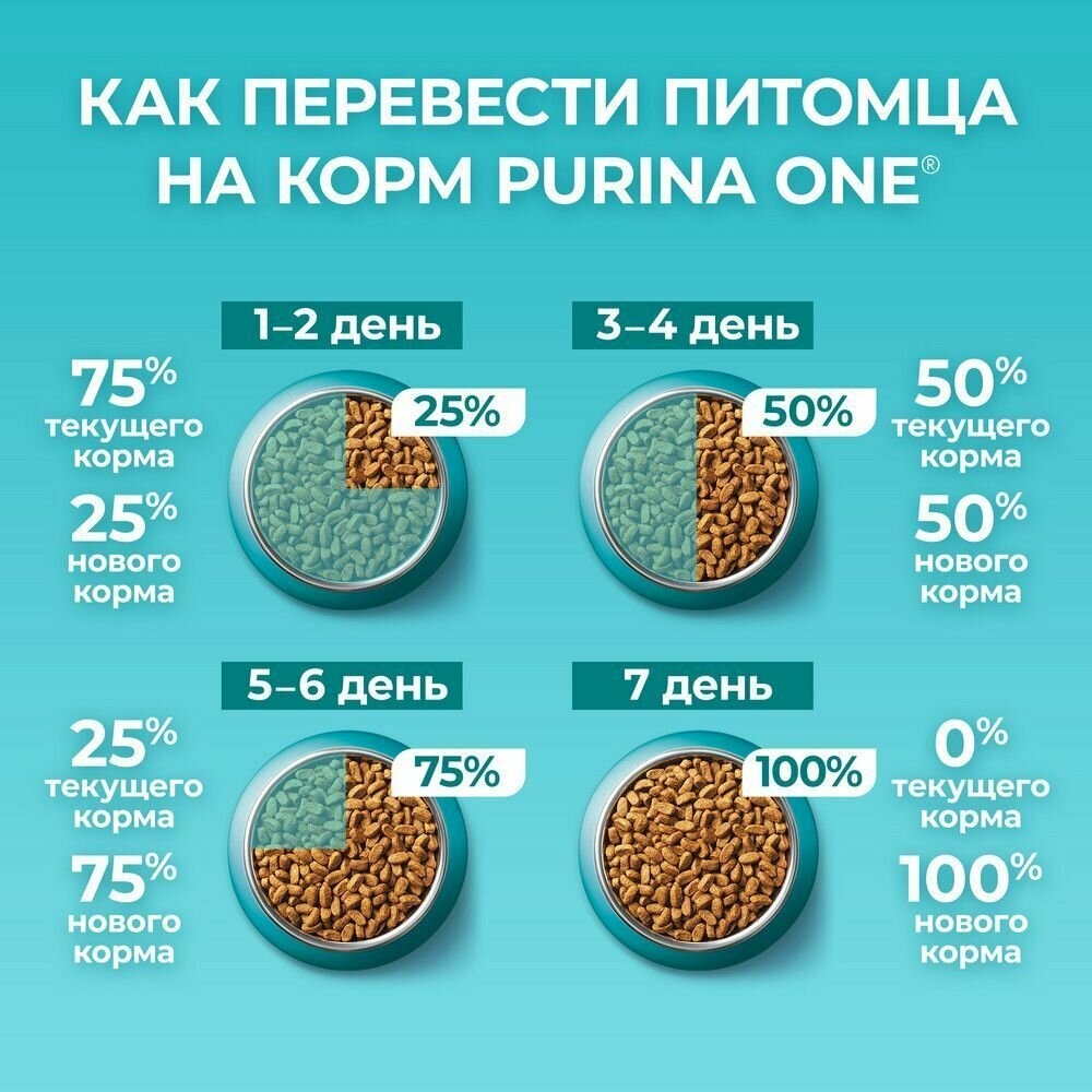 Сухой корм Purina ONE полнорационный для взрослых кошек, живущих в домашних условиях, с высоким содержанием индейки,3 кг 4 шт - фотография № 9