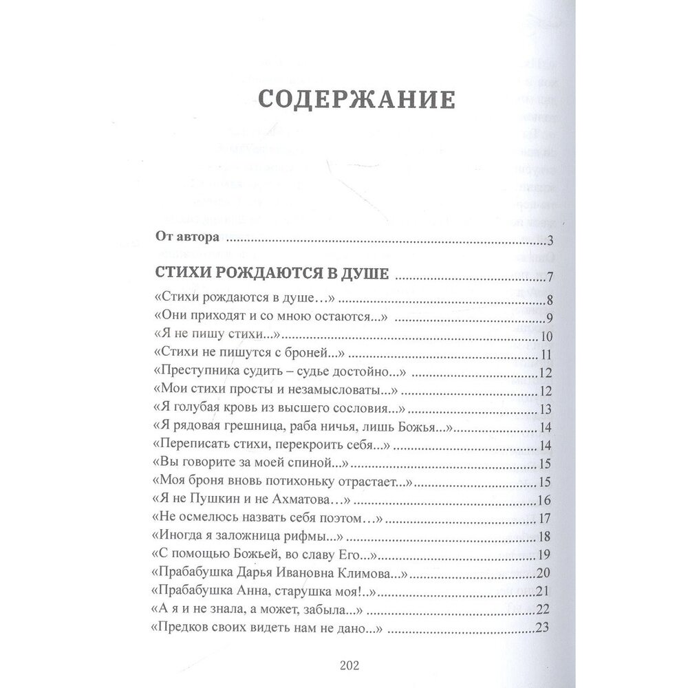 Стихи рождаются в душе (Шпагина Светлана Николаевна) - фото №2