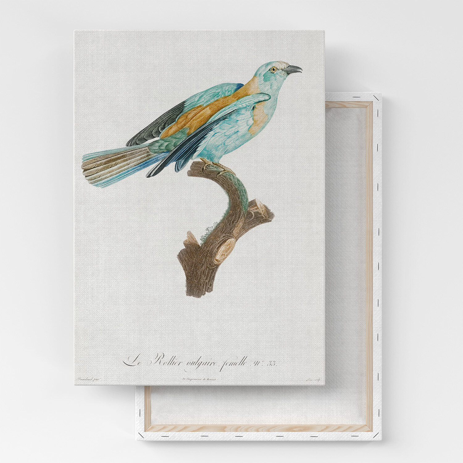 Картина на холсте, репродукция / Des Oiseaux de Paradis / Размер 60 x 80 см