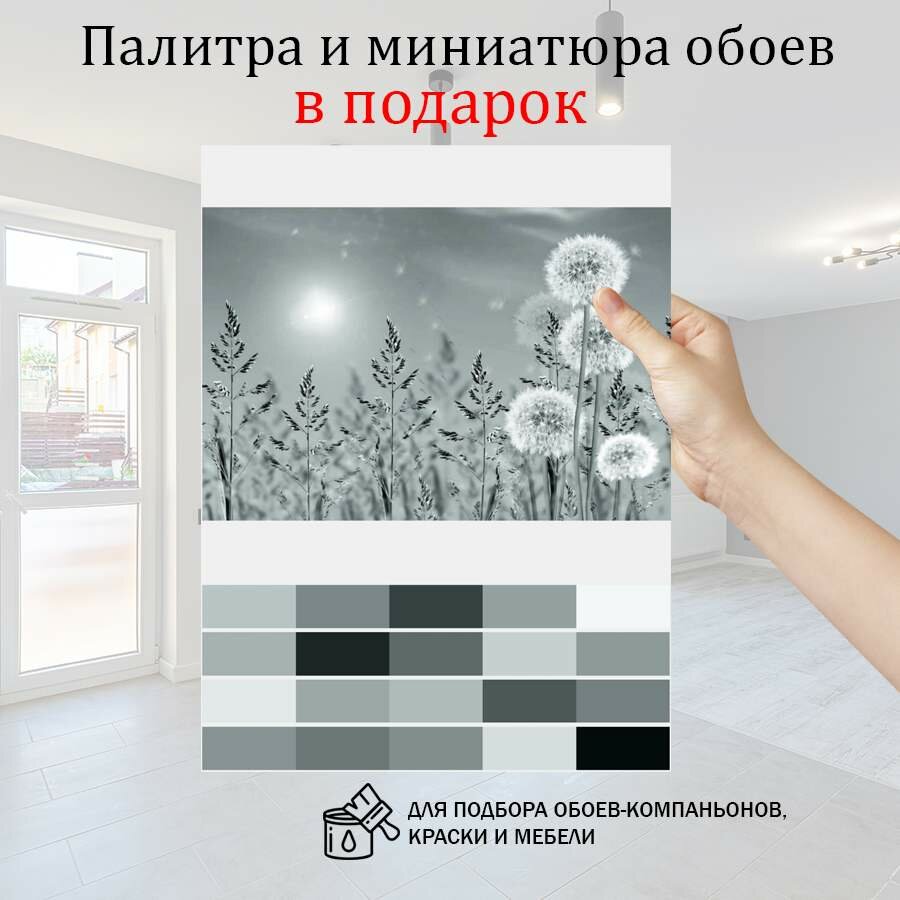 Фотообои Черно белые одуванчики в поле 10-076-S-Холст 270 x 200 см (ВхШ) бесшовные, флизелиновые, влагостойкие обои MasterFresok
