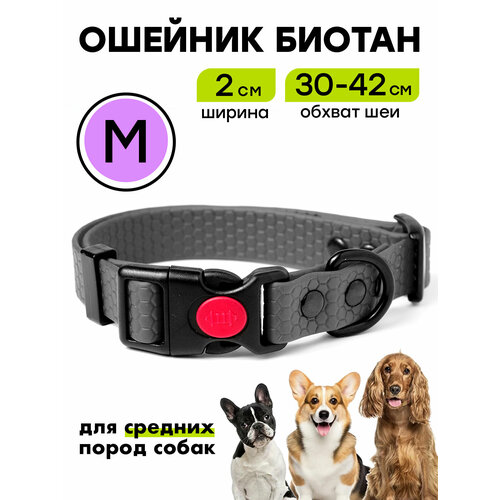 Ошейник из биотана 30-42 см (M), 20 мм, Woofy "Iron" водостойкий, для средних собак, серый