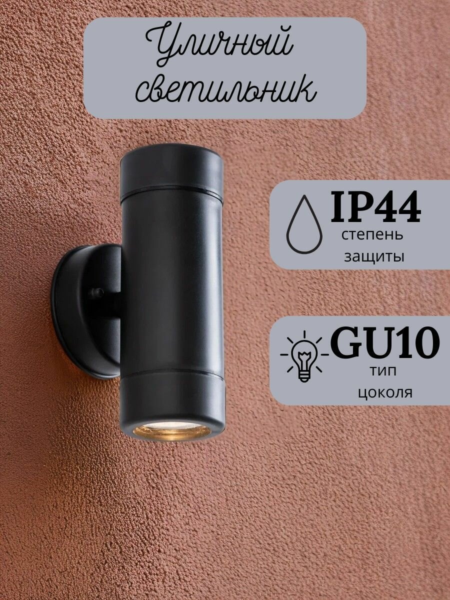 Светильник уличный настенный с двумя источниками света Arte Lamp Atlas A3503AL-2BK