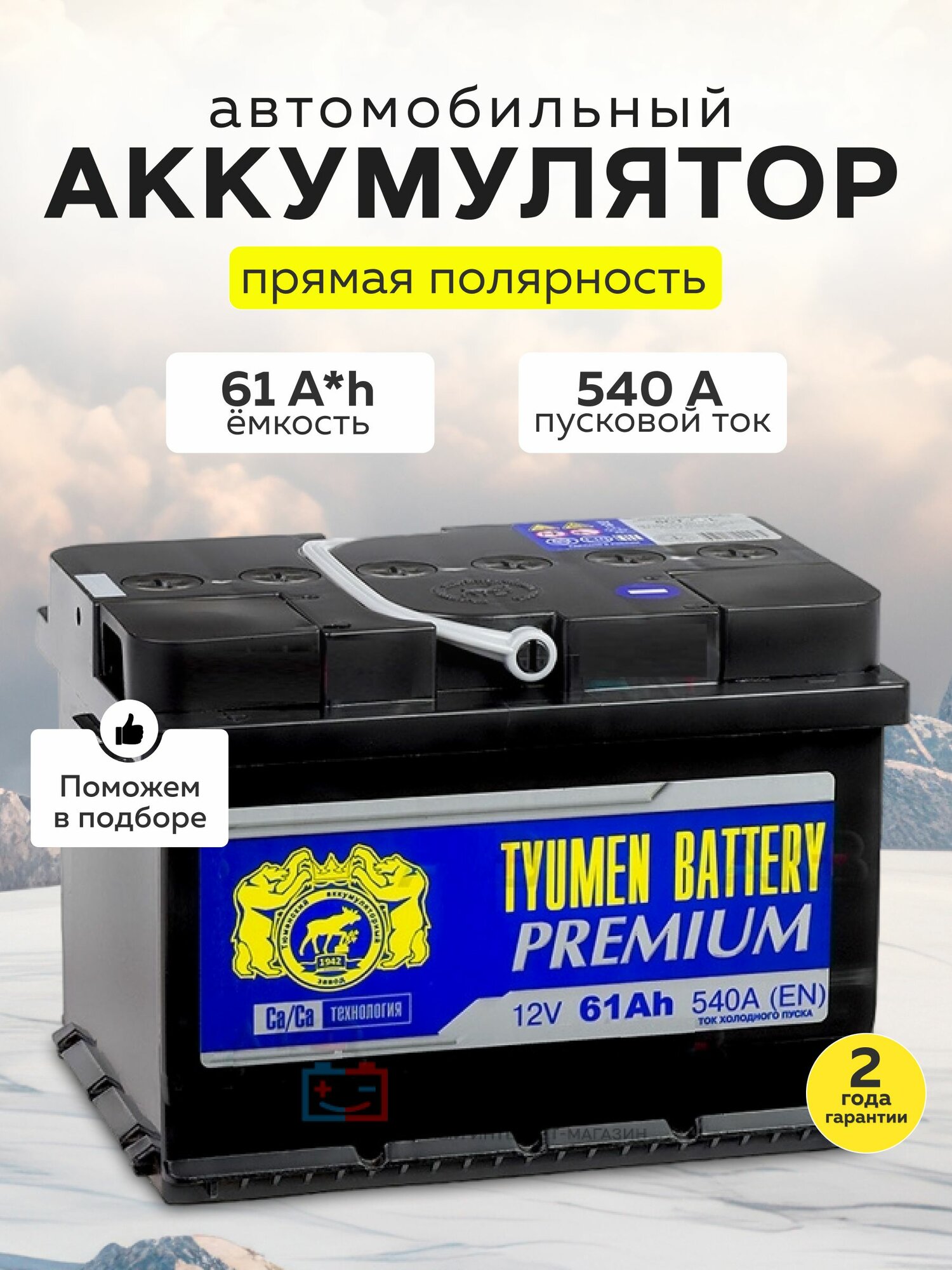 Автомобильный Аккумулятор автомобильный Тюмень Tyumen Battery Premium 61 Ач прямая полярность