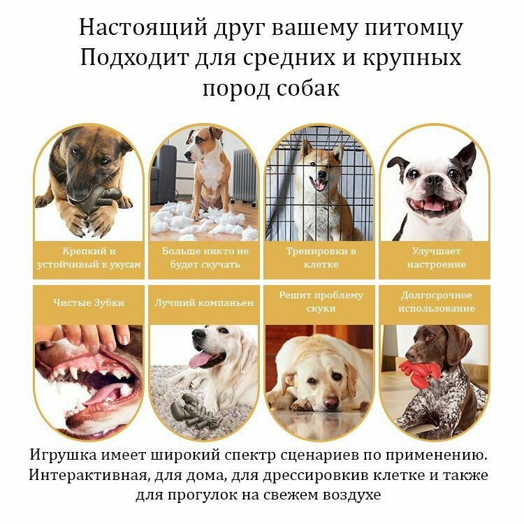 Картинки Игрушка для животных-Праздничные подарки