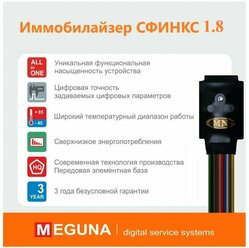 Иммобилайзер Мегуна 1.8