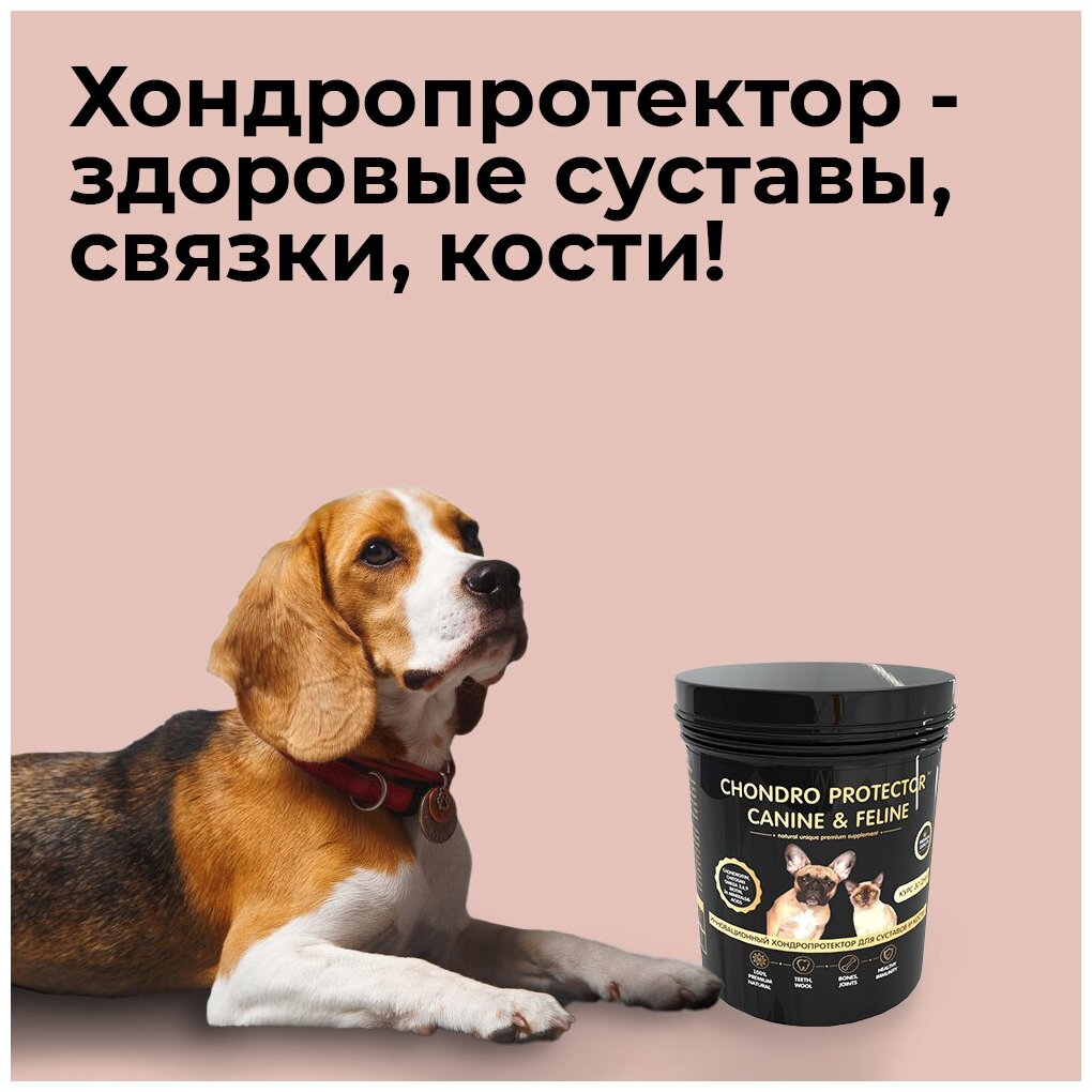 Кормовая добавка iPet Chondro protector для кошек и собак, 30 грамм