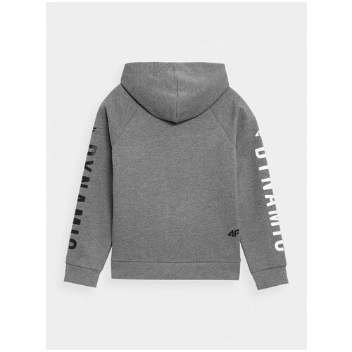 фото Толстовка 4f boy's sweatshirts дети hjz21-jblm006a-23m 122