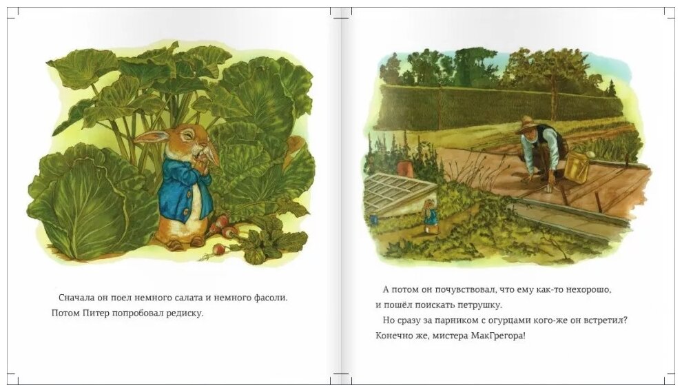 Сказка про Кролика Питера (Поттер Беатрис) - фото №3