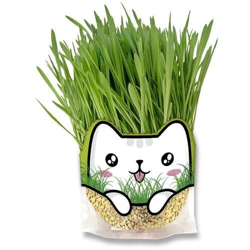 Трава для кошек Цеосан, 500 мл