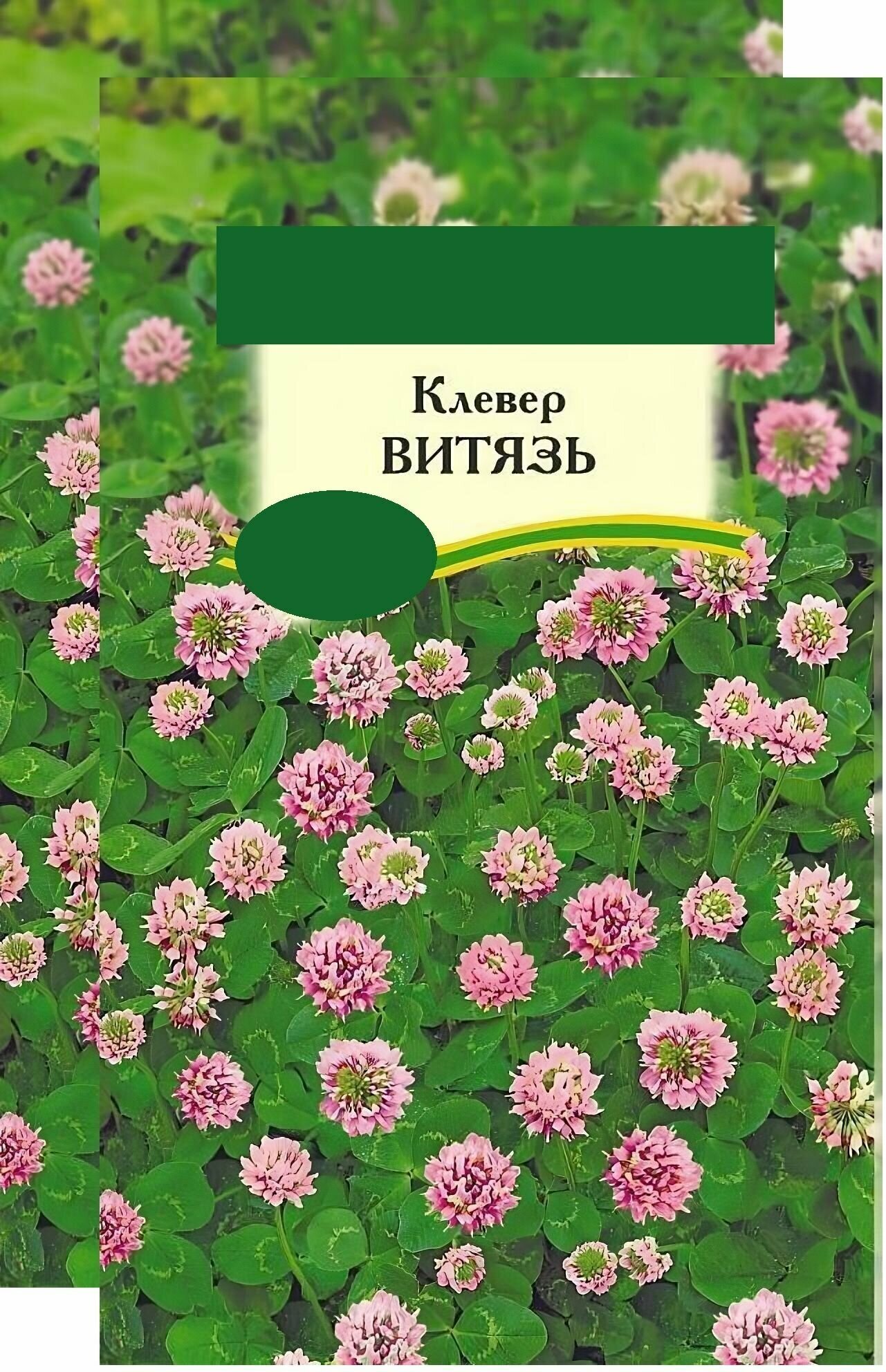 Клевер луговой "Витязь" 2x20 г, сидерат. Сорт хорошо растет на любых почвах, не требует частой стрижки и удобрений, красив, устойчив к вытаптыванию