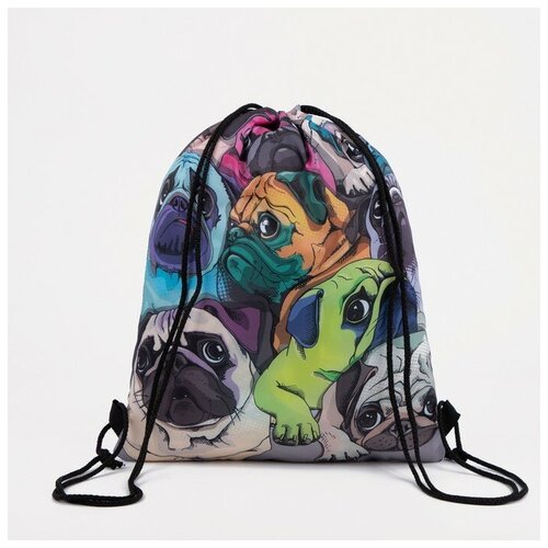 FriendZone Мешок для обуви на шнурке цвет фиолетовыйразноцветный 483₽