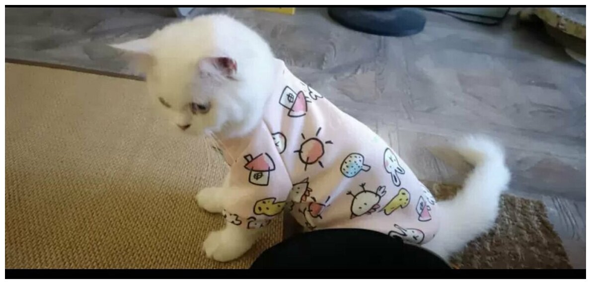 Толстовка для собак утепленная, свитер для кошек, размер L, обхват груди 40-44см, длина спинки 35см - фотография № 7