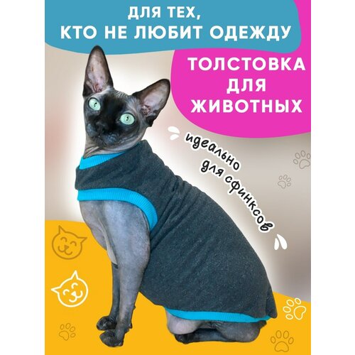 Одежда для животных кошек сфинкс и собак мелких пород, размер S