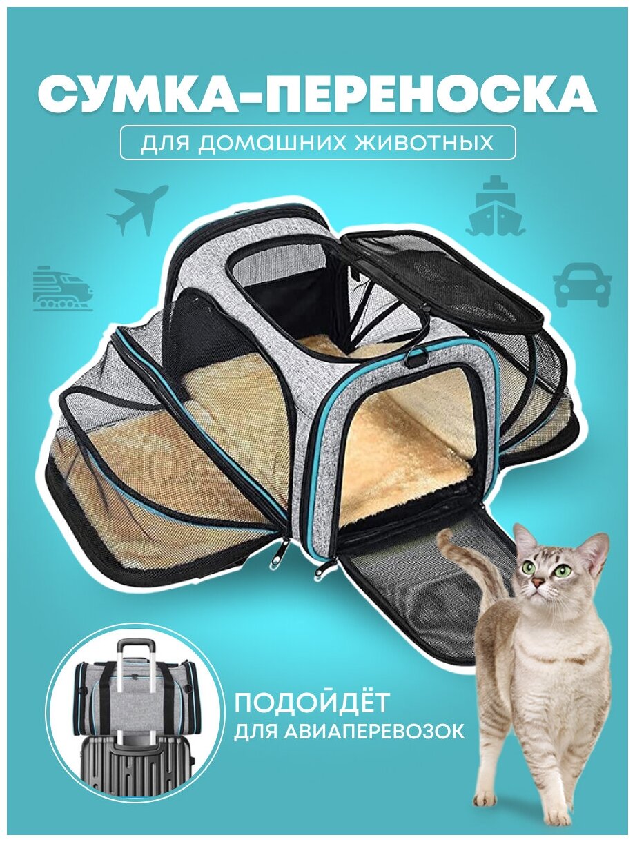 Сумка переноска для кошек собак животных в дорогу самолет 46х28х28 см  раскладная трансформер плечевой ремень PetLeon — купить в интернет-магазине  по низкой цене на Яндекс Маркете