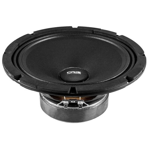 Акустика ORIS PR 80 1шт20см200 вт макс 215000₽