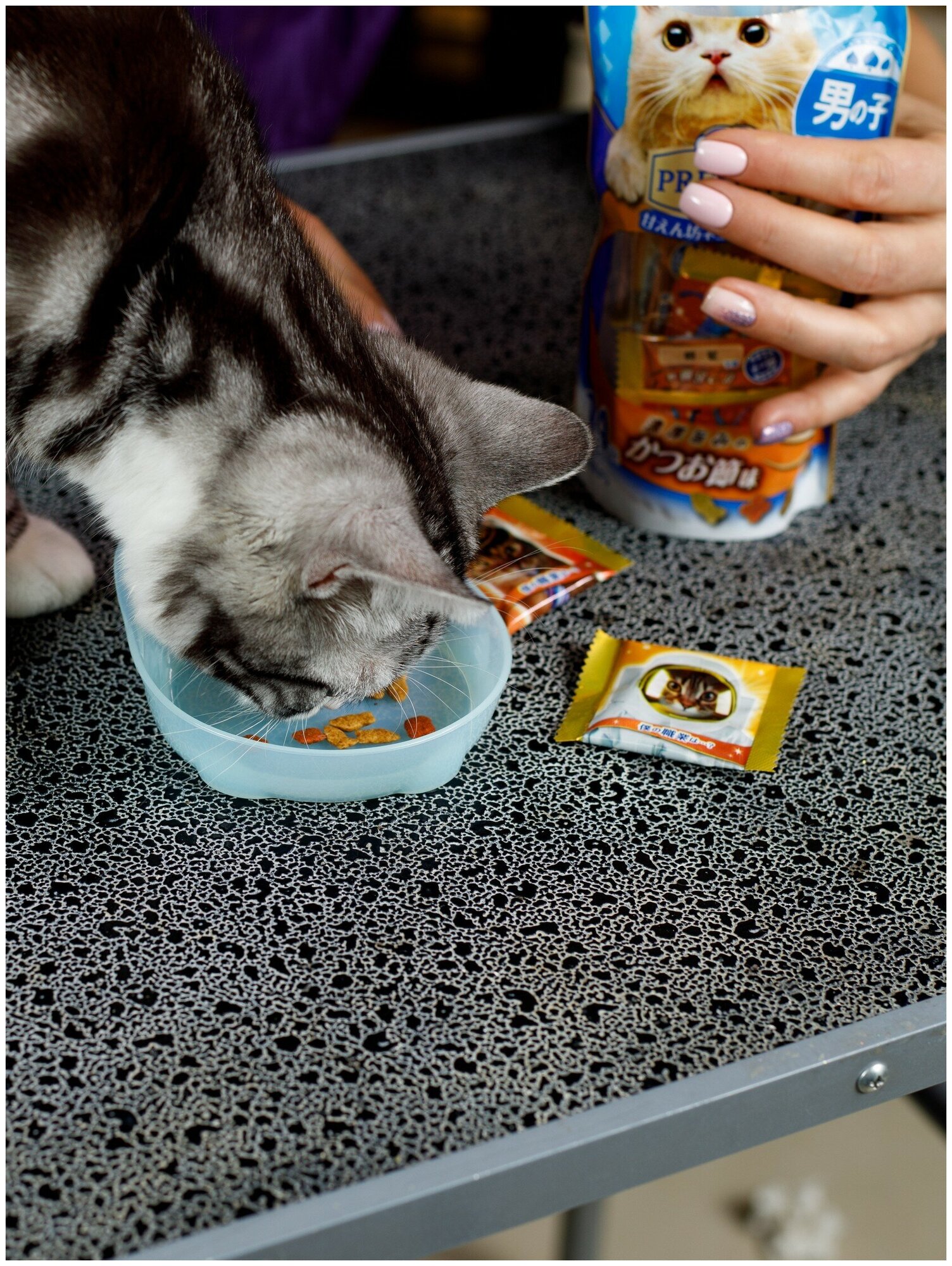 Лакомство для кошек Japan Premium Pet, хрустящий корм PRESENT для избалованных котов на основе сушеного тунца бонито, 42г - фотография № 6