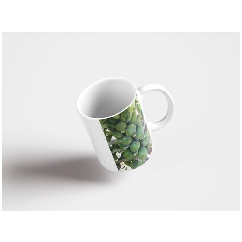 фото Кружка "брюссель, овощ, брюссельская капуста" 320 мл lotsprints