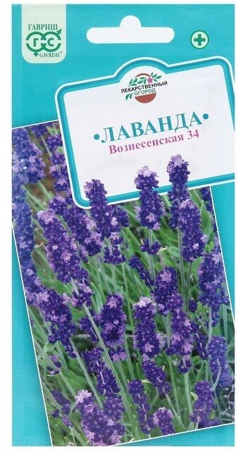 Семена Лаванда узколистная, "Вознесенская 34", 0,05 г