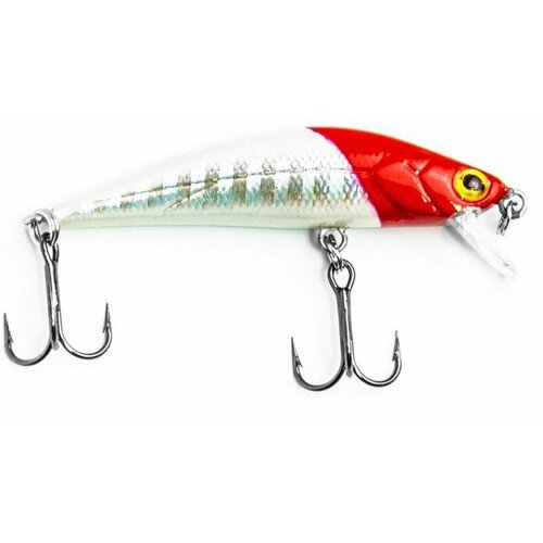 Воблер RUBICON HUMBUG MINNOW S, 50мм, 3гр, заглубление 0-0.8m, LW18