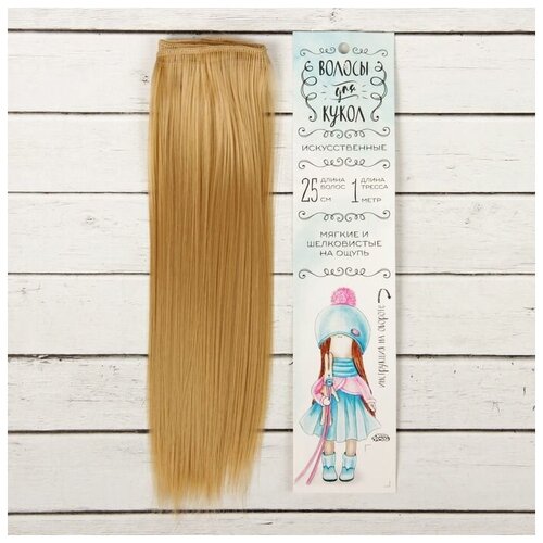 Волосы - тресс для кукол «Прямые» длина волос: 25 см, ширина:100 см, цвет № 15 волосы тресс для кукол арт узор терракотовые локоны 15 100 см