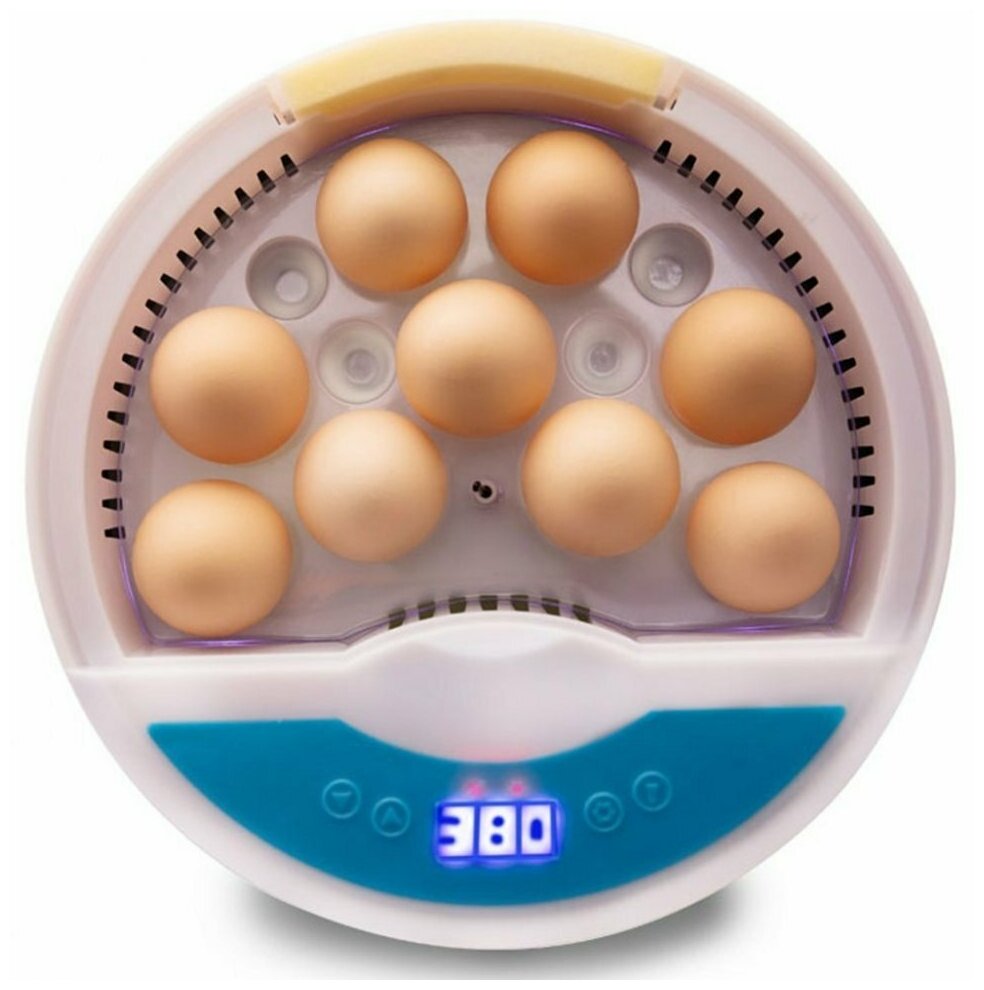 Инкубатор HHD 9 мини автоматический для яиц с овоскопом - фотография № 9