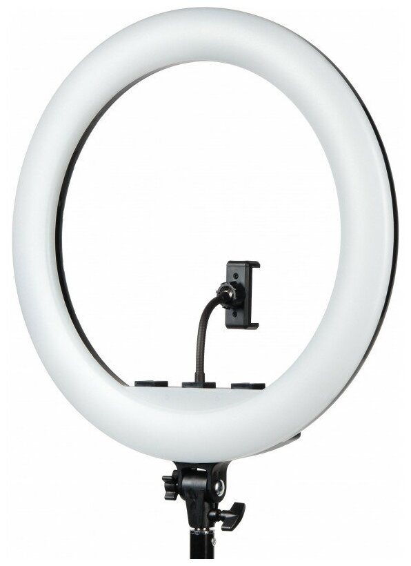 Осветитель светодиодный Falcon Eyes BeautyLight 480RC LED кольцевой