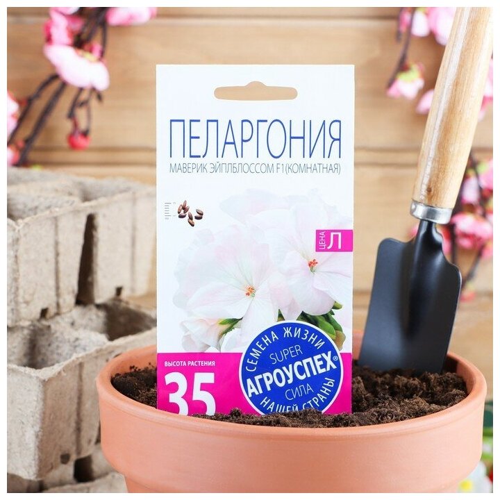 Агроуспех Семена комнатных цветов Пеларгония "Эйплблоссом", 4 шт.