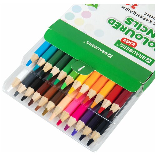 Упаковка 2 шт Карандаши цветные утолщенные BRAUBERG KIDS 24 цвета шестигранные грифель 5 мм натуральное дерево 181879 1708₽