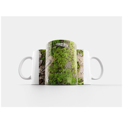 фото Кружка "climacium, влажный, dendroides" 320 мл lotsprints